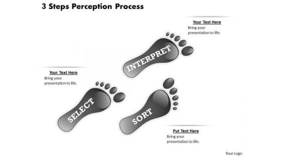 3 Steps Perception Process PowerPoint Presentation Template