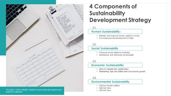 4 Components Of Sustainability Development Strategy Ppt Show Ideas PDF