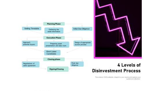 4 Levels Of Disinvestment Process Ppt PowerPoint Presentation Pictures PDF