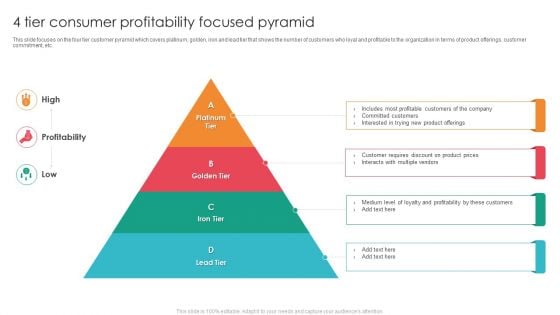 4 Tier Consumer Profitability Focused Pyramid Themes PDF