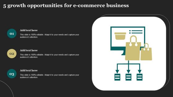 5 Growth Opportunities For E Commerce Business Ideas PDF
