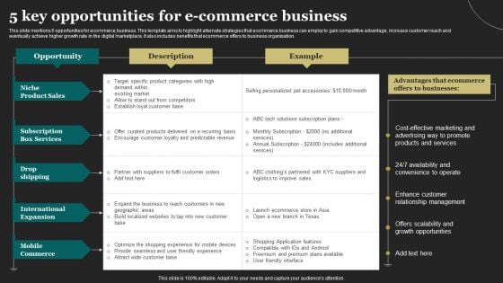 5 Key Opportunities For E Commerce Business Microsoft PDF