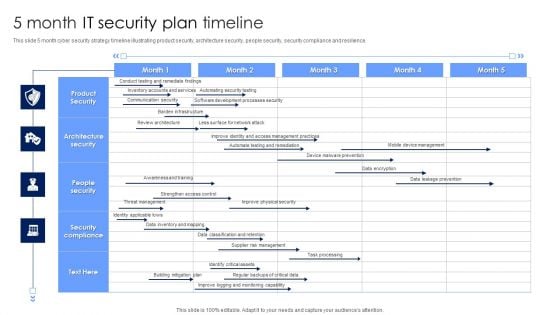 5 Month IT Security Plan Timeline Pictures PDF