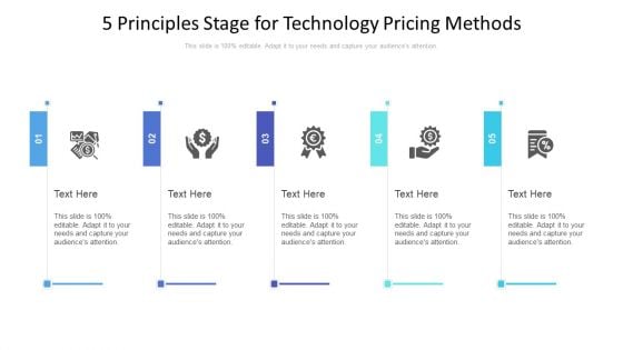 5 Principles Stage For Technology Pricing Methods Ppt PowerPoint Presentation File Inspiration PDF 5 Principles Stage For Technology Pricing Methods Ppt PowerPoint Presentation File Inspiration PDF