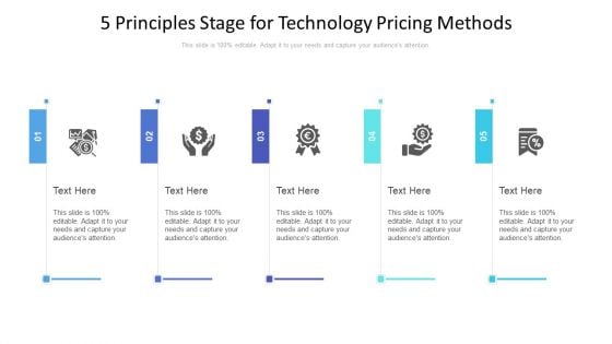 5 Principles Stage For Technology Pricing Methods Ppt PowerPoint Presentation File Inspiration PDF