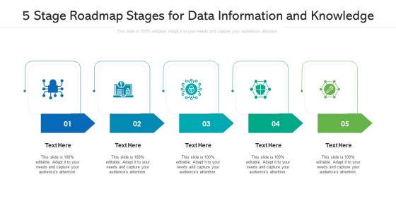 5 Stage Roadmap Stages For Data Information And Knowledge Ppt PowerPoint Presentation Gallery Designs PDF
