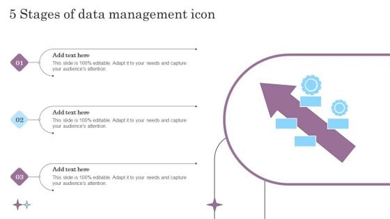 5 Stages Of Data Management Icon Summary PDF