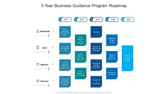 5 Year Business Guidance Program Roadmap Portrait