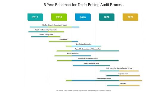 5 Year Roadmap For Trade Pricing Audit Process Professional 5 Year Roadmap For Trade Pricing Audit Process Professional
