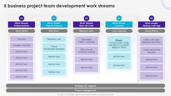 5 Business Project Team Development Work Streams