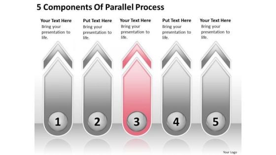 5 Components Of Parallel Process Business Plan Formats PowerPoint Slides