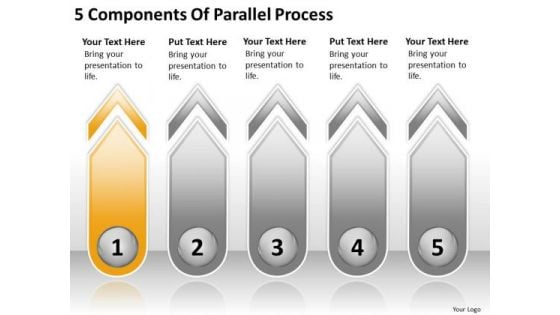 5 Components Of Parallel Process How To Write Business Plan Template PowerPoint Slides