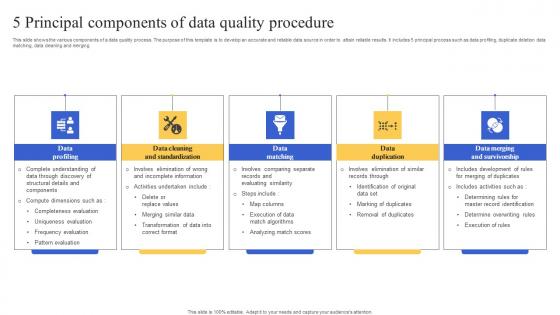 5 Principal Components Of Data Quality Procedure Infographics Pdf
