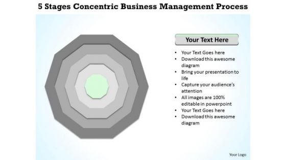 5 Stages Concentric Business Management Process Magazine Plan PowerPoint Slides