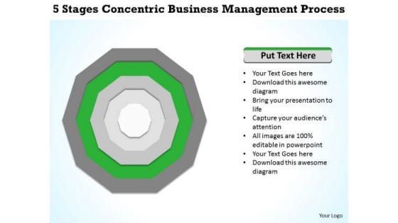 5 Stages Concentric Business Management Process Plan PowerPoint Templates