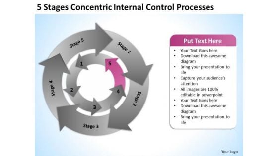 5 Stages Concentric Internal Control Processes Business Executive PowerPoint Slides