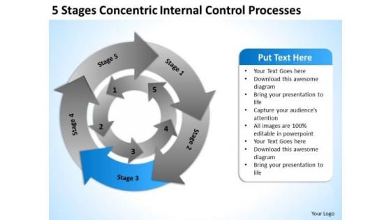 5 Stages Concentric Internal Control Processes Business Plan PowerPoint Templates