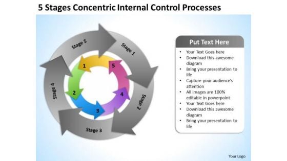 5 Stages Concentric Internal Control Processes Ppt Business Plan PowerPoint Templates