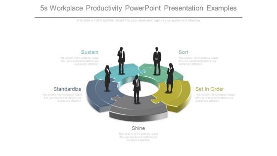 5s Workplace Productivity Powerpoint Presentation Examples