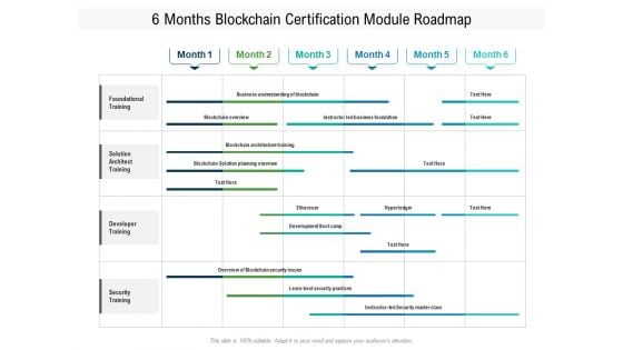 6 Months Blockchain Certification Module Roadmap Demonstration