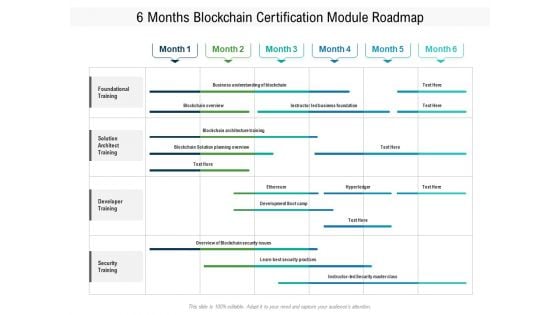 6 Months Blockchain Certification Module Roadmap Demonstration