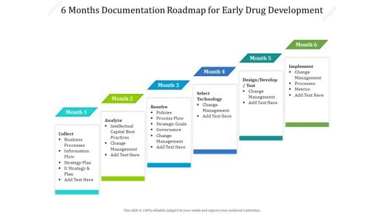 6 Months Documentation Roadmap For Early Drug Development Summary