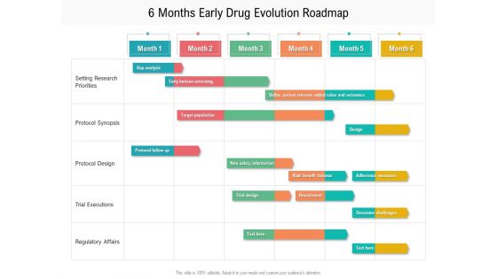 6 Months Early Drug Evolution Roadmap Formats