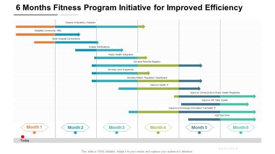 6 Months Fitness Program Initiative For Improved Efficiency Graphics