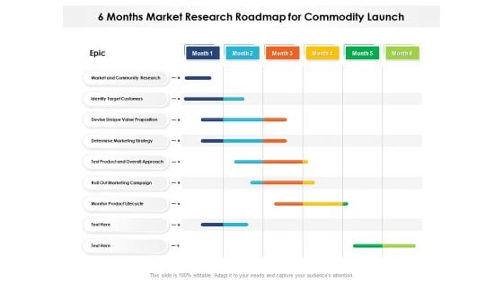 6 Months Market Research Roadmap For Commodity Launch Guidelines