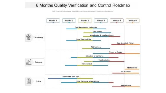 6 Months Quality Verification And Control Roadmap Background