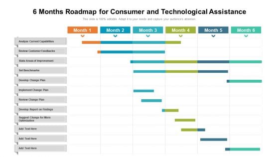 6 Months Roadmap For Consumer And Technological Assistance Download