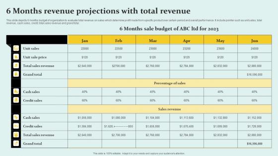 6 Months Revenue Projections With Total Revenue Sample Pdf