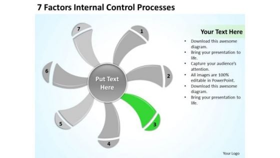 7 Factors Internal Control Processes Ppt Business Plan Formats PowerPoint Templates