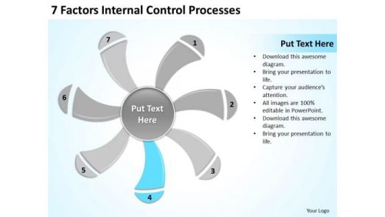 7 Factors Internal Control Processes Ppt Business Plan Tools PowerPoint Templates