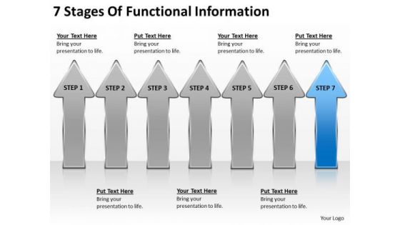 7 Stages Of Functional Information Ppt How To Write Business Plan PowerPoint Slides