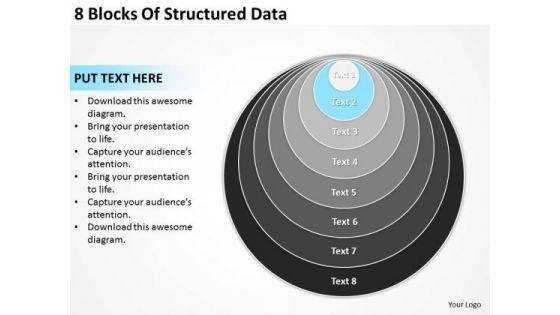 8 Blocks Of Structured Data Business Plan Format Template PowerPoint Templates