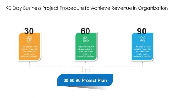 90 Day Business Project Procedure To Achieve Revenue In Organization Ppt PowerPoint Presentation File Demonstration PDF