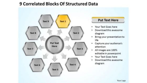 9 Correlated Blocks Of Structured Data Business Plan PowerPoint Templates