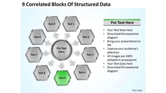 9 Correlated Blocks Of Structured Data How To Present Business Plan PowerPoint Slides