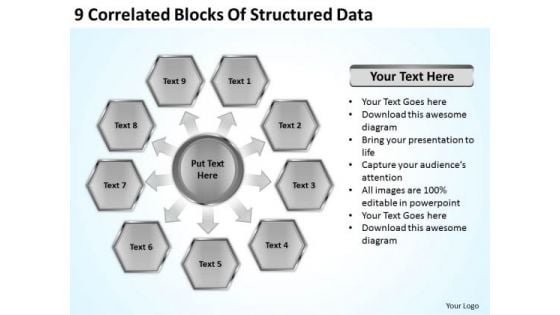9 Correlated Blocks Of Structured Data Outline Business Plan PowerPoint Slides 9 Correlated Blocks Of Structured Data Outline Business Plan PowerPoint Slides