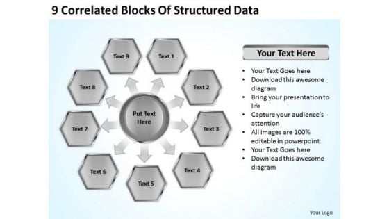 9 Correlated Blocks Of Structured Data Outline Business Plan PowerPoint Slides