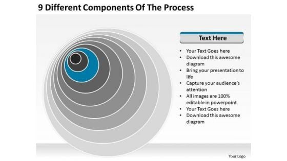 9 Different Components Of The Process Business Plan Sample Template PowerPoint Templates