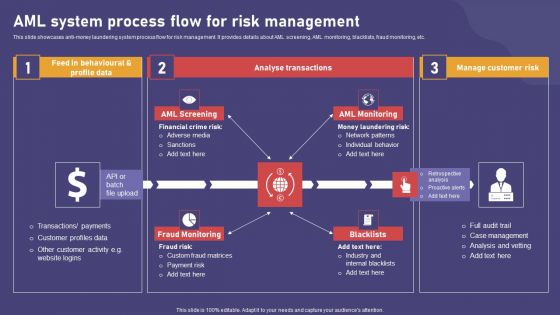 AML System Process Flow For Risk Management Brochure PDF