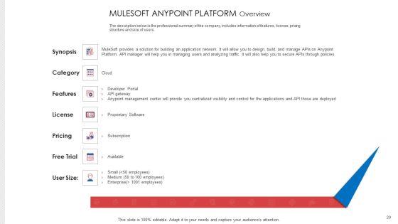API Administration Solution Ppt PowerPoint Presentation Complete Deck With Slides Slide29