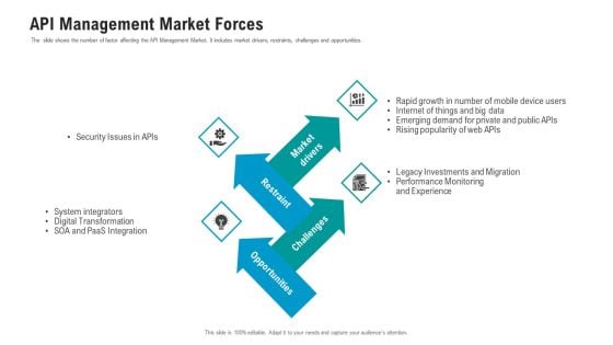 API Ecosystem API Management Market Forces Graphics PDF