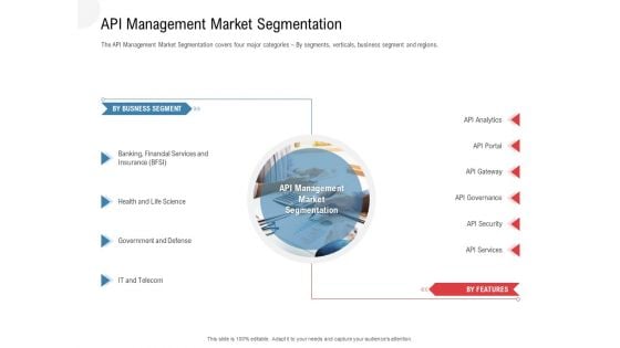 API Outline API Management Market Segmentation Ppt Infographic Template Portfolio PDF