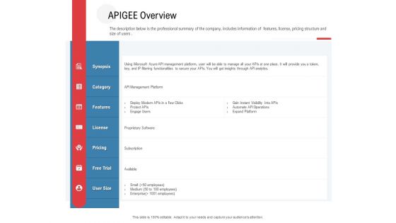 API Outline Apigee Overview Ppt Model Themes PDF