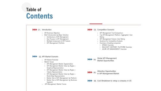 API Outline Table Of Contents Ppt Styles Design Ideas PDF