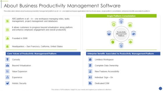 About Business Productivity Management Software Icons PDF