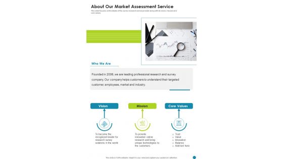 About Our Market Assessment Service One Pager Sample Example Document